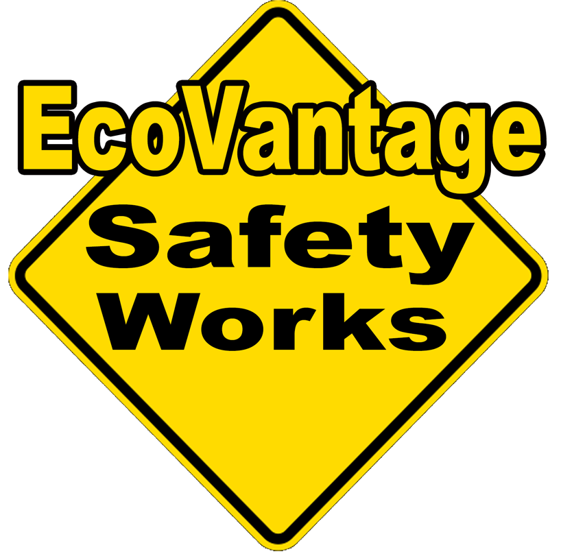 ecosafetyworks.com